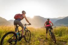 Alain DOUCE - ALAIN DOUCE