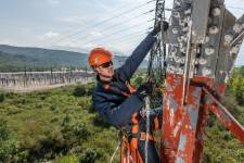 Alain DOUCE - ALAIN DOUCE