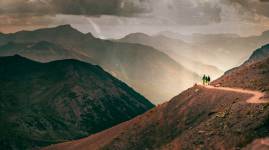 Alain DOUCE - ALAIN DOUCE