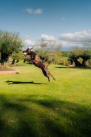 Louis MARCOU - LM Photos