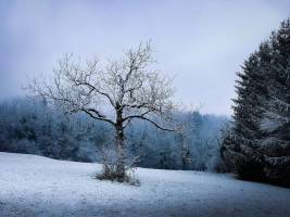 Julie RENAUT - SOUS NOS YEUX