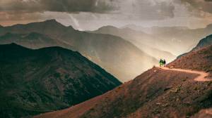 Alain DOUCE - ALAIN DOUCE